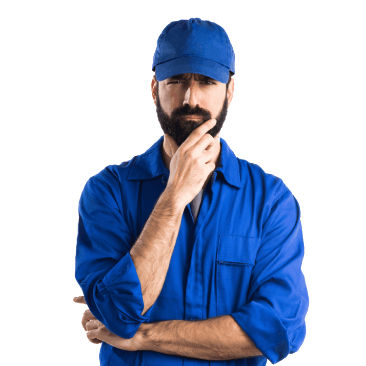 Web Hosting India